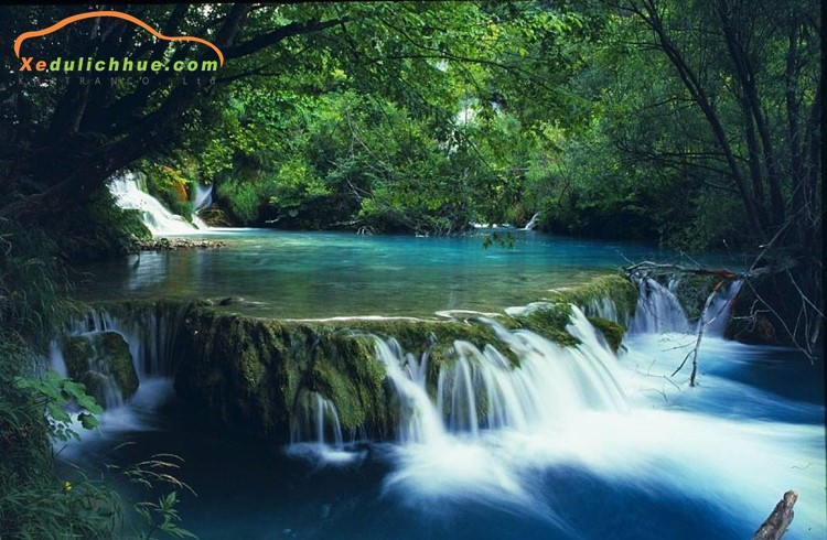 xe du lịch huế