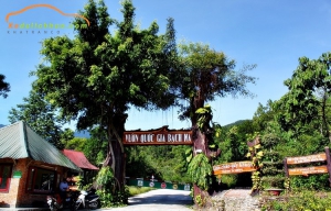 thuê xe huế