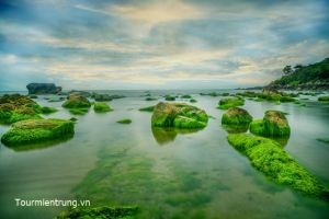 Bãi rêu Nam Ô ở Đà Nẵng