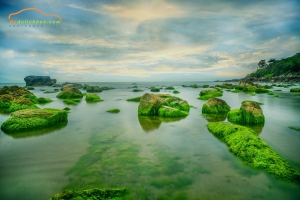 Bãi rêu Nam Ô ở Đà Nẵng