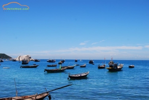 Đảo Cù Lao Chàm