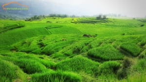 Pù Luông Thanh Hóa