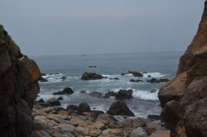 thuê xe du lịch tại huế
