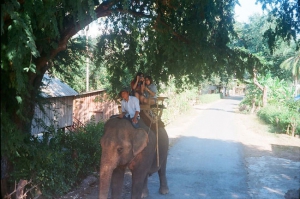 thuê xe du lịch huế