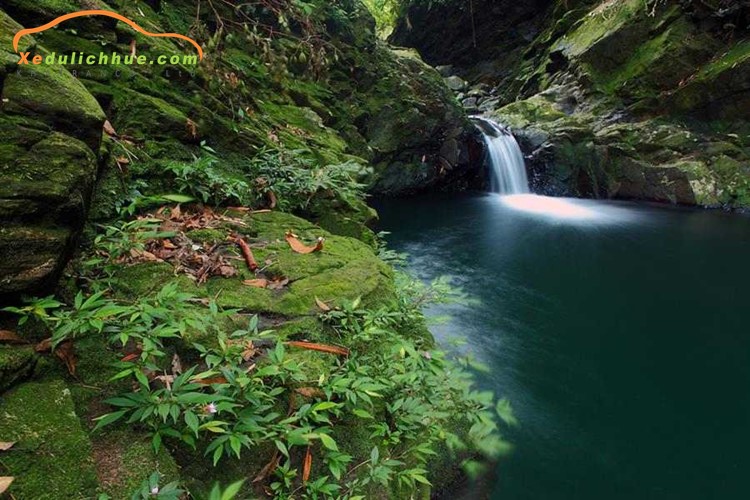 Núi Bạch Mã Huế
