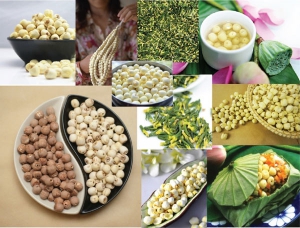 thuê xe du lịch huế