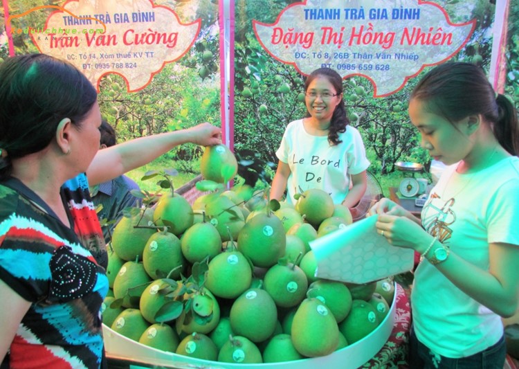 giá thanh trà huế