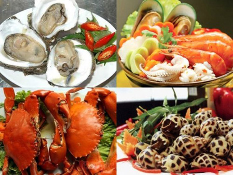 dịch vụ thuê xe du lịch