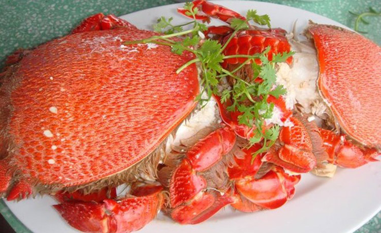 dịch vụ cho thuê xe du lịch