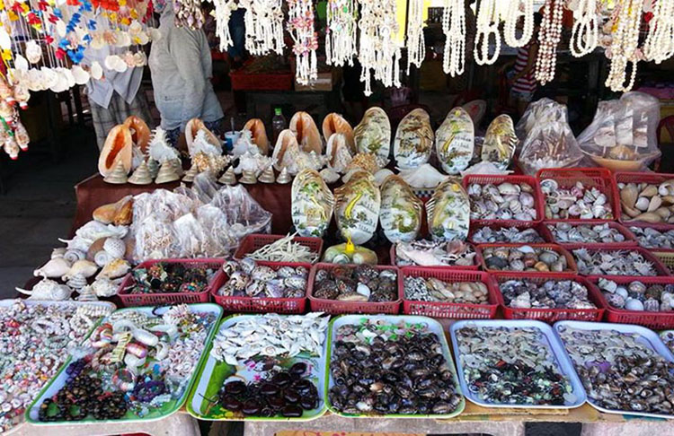 thuê xe huế