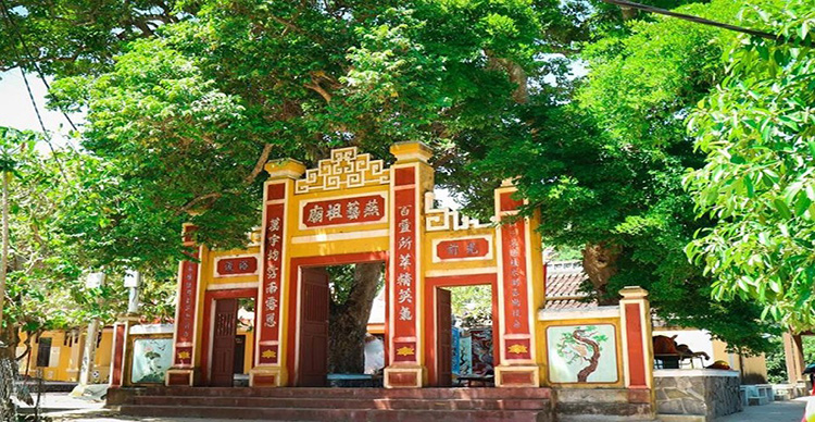 dịch vụ thuê xe du lịch