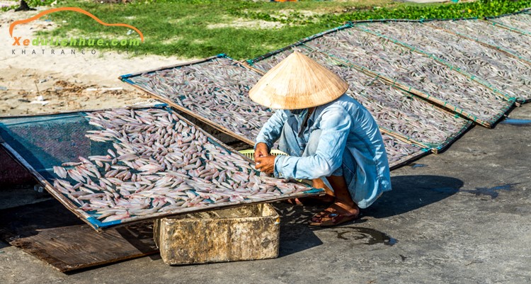 thuê xe ô tô đà nẵng