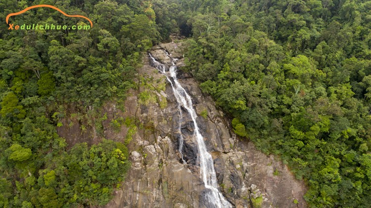 tour vườn quốc gia bạch mã