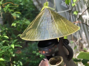 Festival Huế 2019