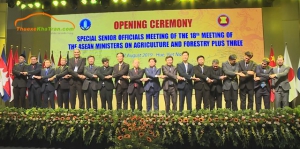 Hội nghị AMAF 2019