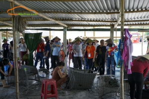 Hội nghị AMAF 2019