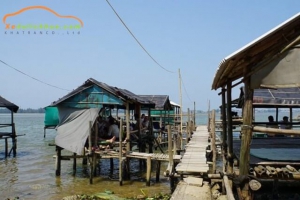Rừng rú chá huế