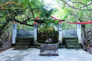 rừng rú chá huế