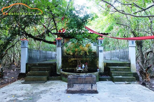 rừng rú chá huế