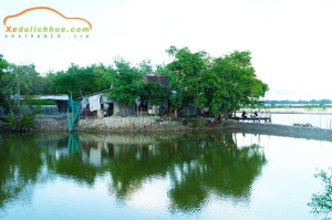 Rừng ngập mặn rú chá huế