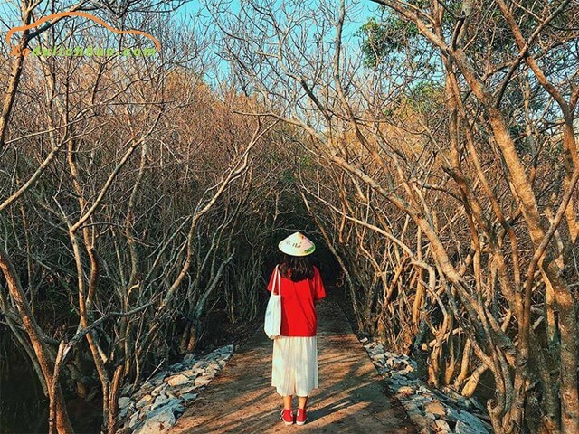 đường đi rú chá huế