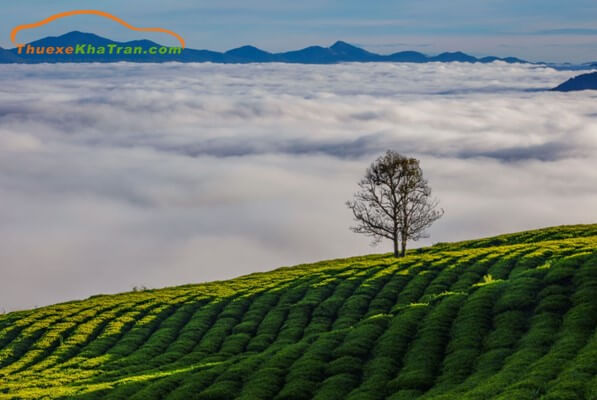 huế đi đà lạt bao nhiêu km