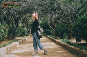 du lịch nhà vườn ở huế